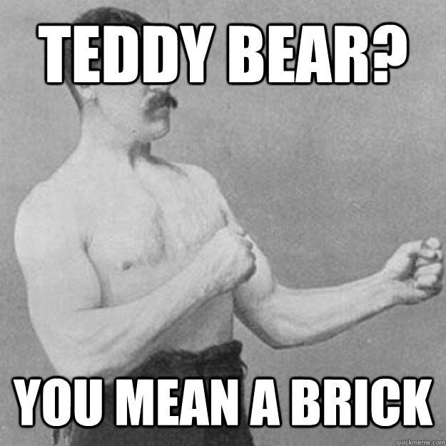 teddy bear you mean a brick - overly manly man