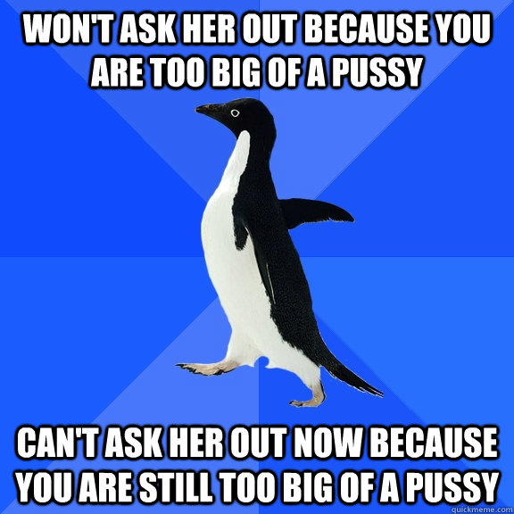 wont ask her out because you are too big of a pussy cant a - Socially Awkward Penguin