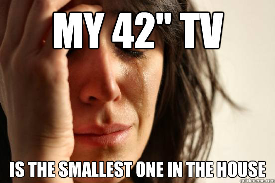 my 42 tv is the smallest one in the house - First World Problems