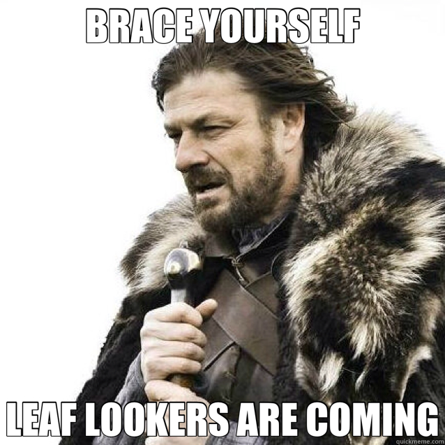BRACE YOURSELF LEAF LOOKERS ARE COMING - Brace Yourself