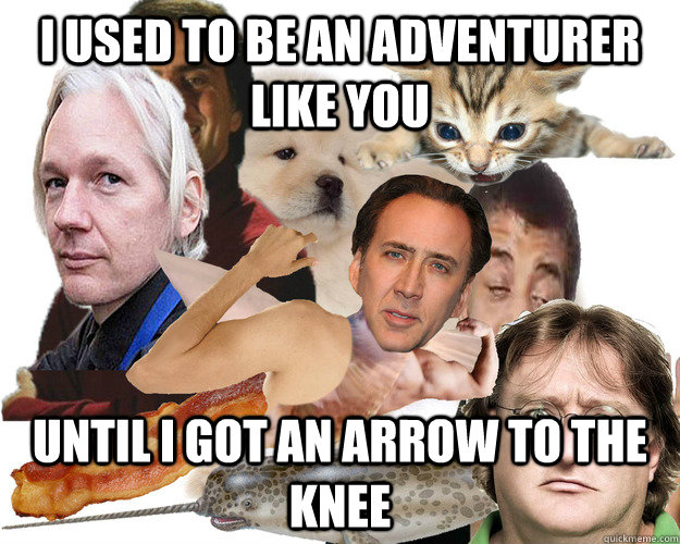 i used to be an adventurer like you until i got an arrow to -