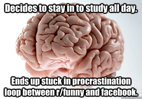 decides to stay in to study all day ends up stuck in procra - Scumbag Brain