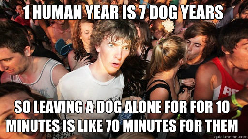 1 human year is 7 dog years so leaving a dog alone for for - Sudden Clarity Clarence