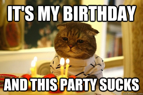 its my birthday and this party sucks - Dissapointed Birthday Cat