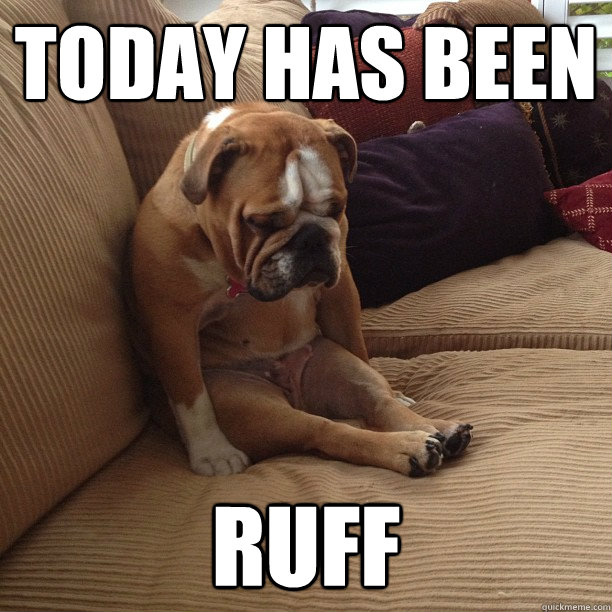 today has been ruff - depressed dog
