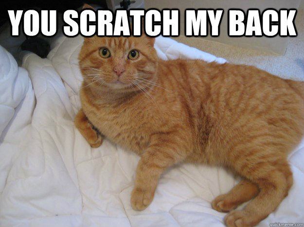 you scratch my back - Cat Logic