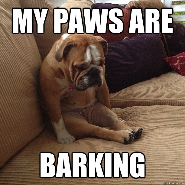 my paws are barking - depressed dog