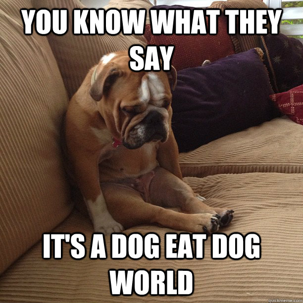 you know what they say its a dog eat dog world - depressed dog