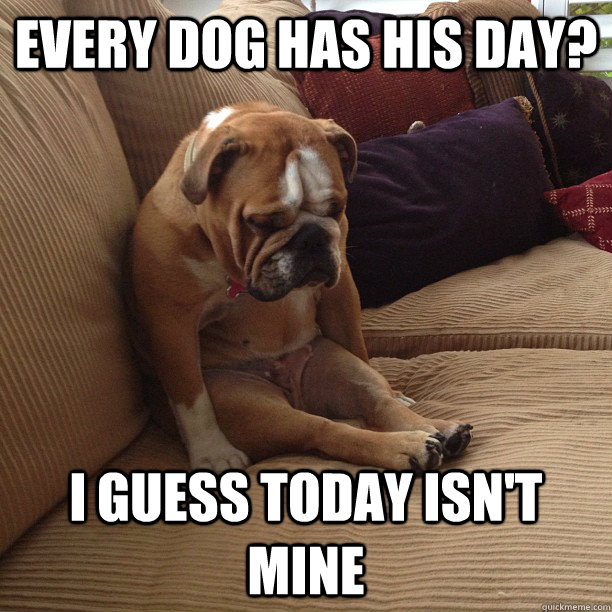 every dog has his day i guess today isnt mine - depressed dog