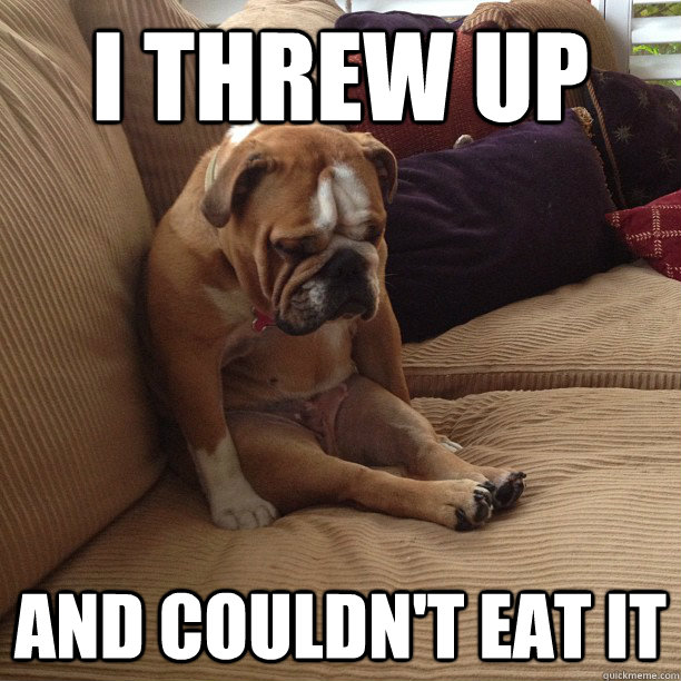 i threw up and couldnt eat it - depressed dog