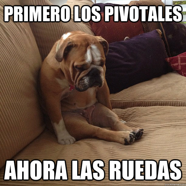 primero los pivotales ahora las ruedas - depressed dog