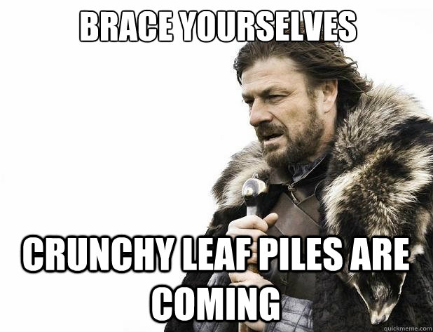 brace yourselves crunchy leaf piles are coming - Brace Yourself