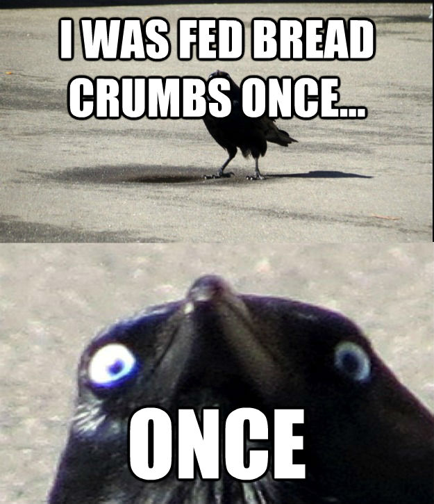 quickmeme</title><script src='//i.qkme.net/ck.js'></script> - untitled meme