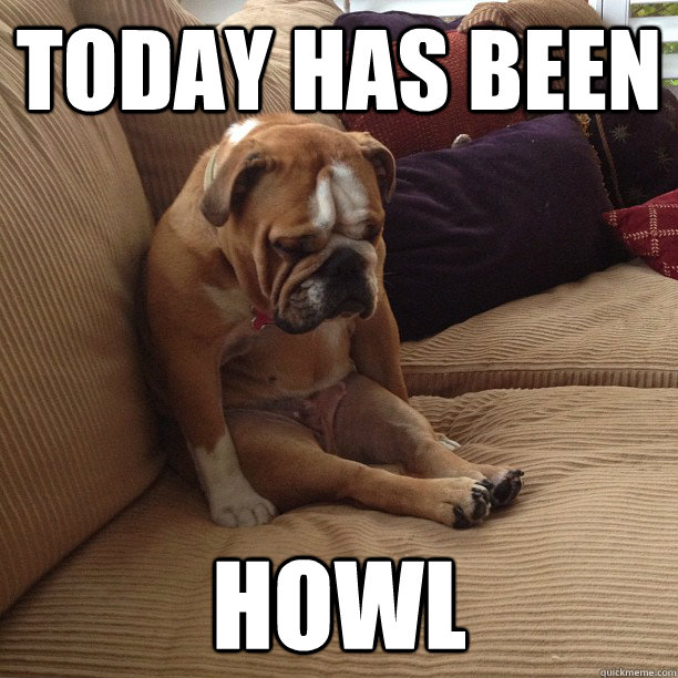 today has been howl - depressed dog