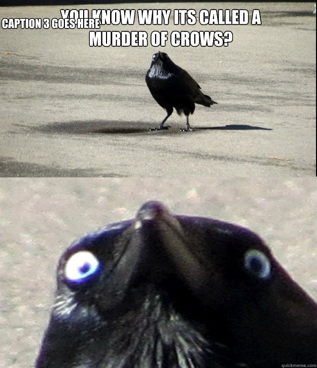 you know why its called a murder of crows caption 3 goes h -
