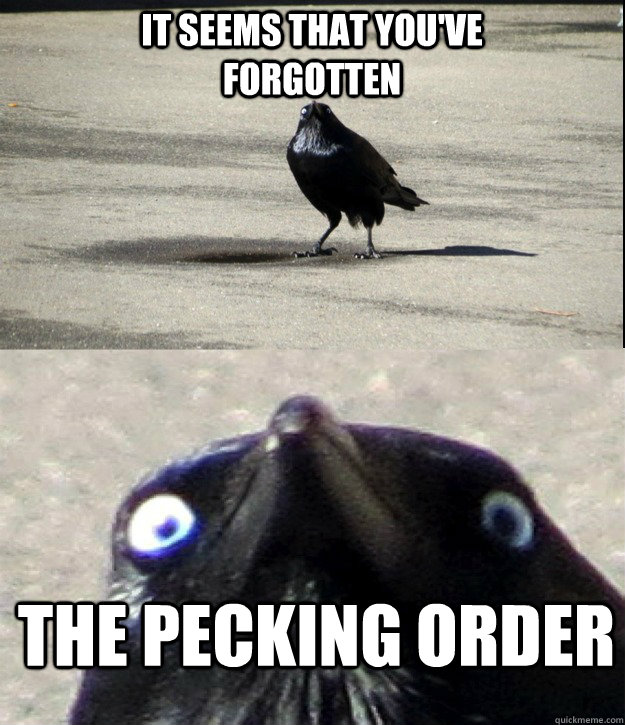 it seems that youve forgotten the pecking order -