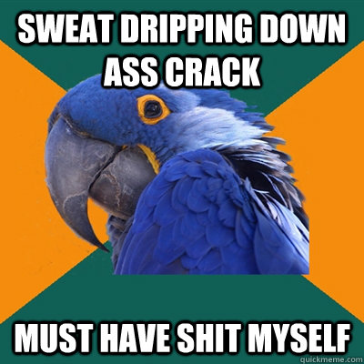 sweat dripping down ass crack must have shit myself - Paranoid Parrot