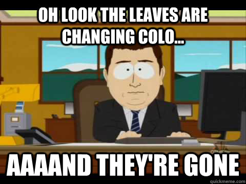 oh look the leaves are changing colo aaaand theyre gone - and its gone