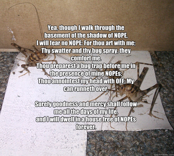 yea though i walk through the basement of the shadow of nop - NOPE Prayer