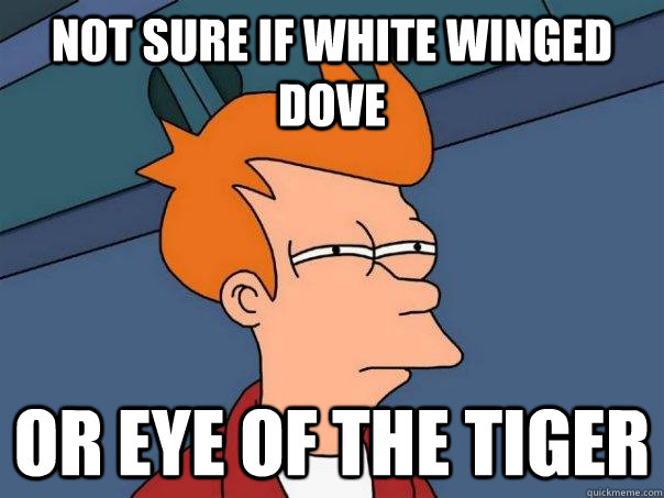not sure if white winged dove or eye of the tiger - Futurama Fry