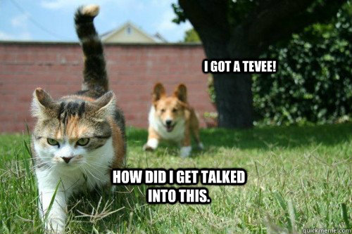 i got a tevee how did i get talked into this - surly cat