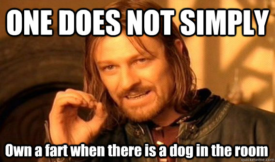 one does not simply own a fart when there is a dog in the ro - One Does Not Simply