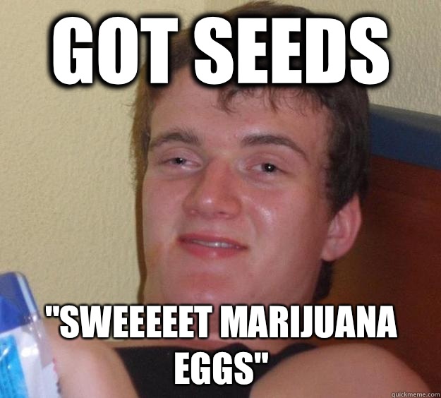 Got Seeds Sweeeeet Marijuana Eggs - 10 Guy
