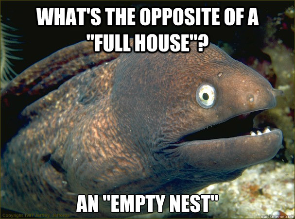 whats the opposite of a full house an em - Bad Joke Eel