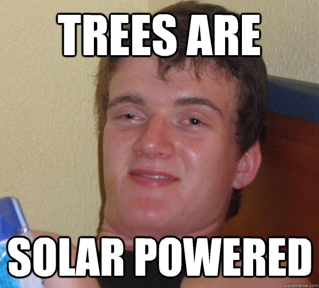 trees are solar powered - 10 Guy