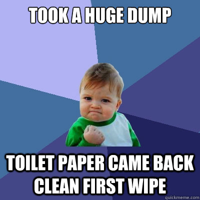 took a huge dump toilet paper came back clean first wipe - Success Kid