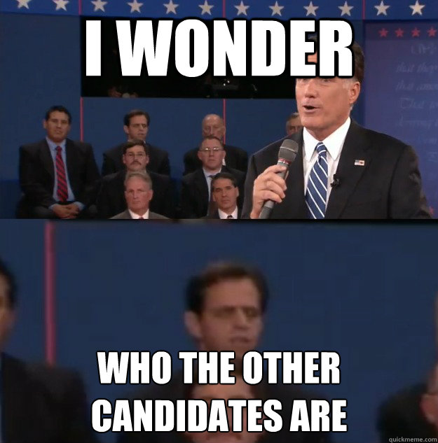 i wonder who the other candidates are - Typical Undecided Voter
