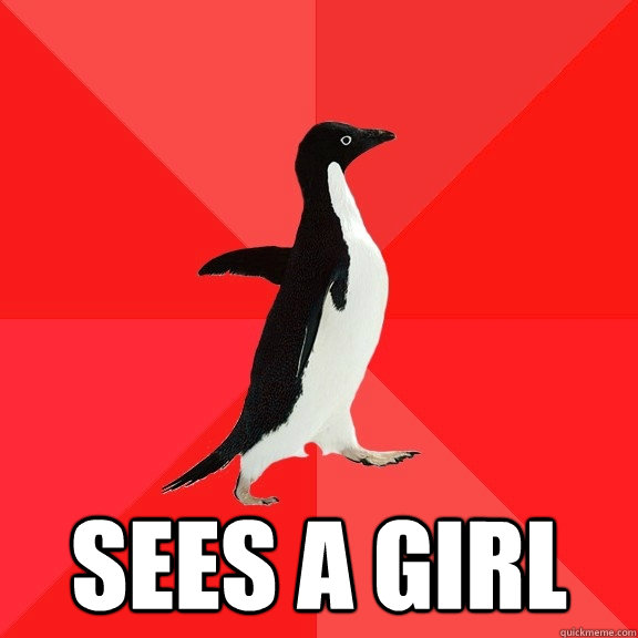 sees a girl - Socially Awesome Penguin