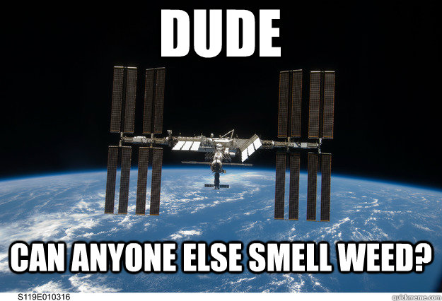 dude can anyone else smell weed -
