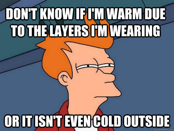dont know if im warm due to the layers im wearing or it i - Futurama Fry