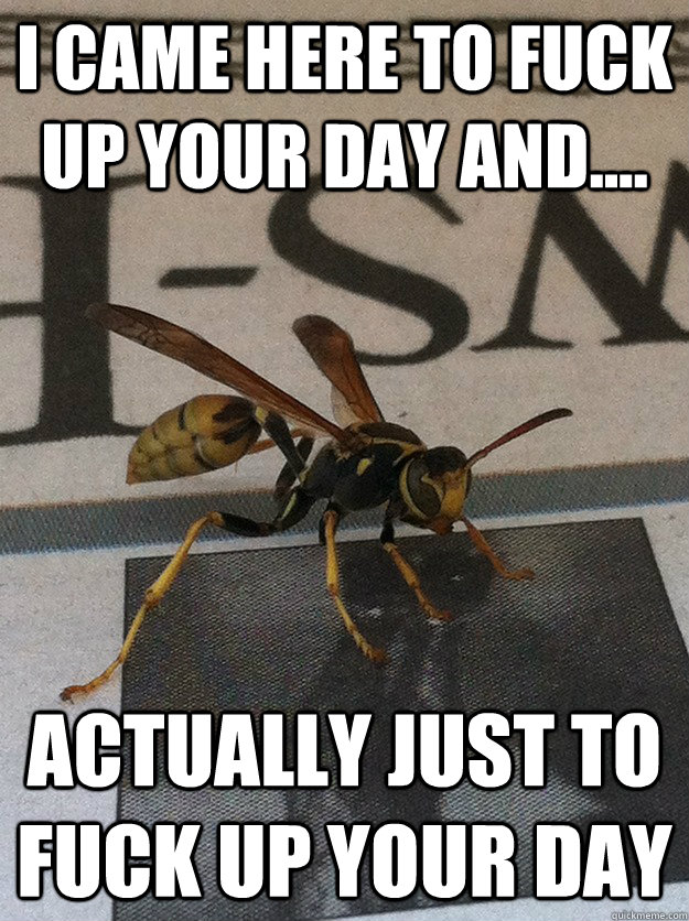 i came here to fuck up your day and actually just to fuc -