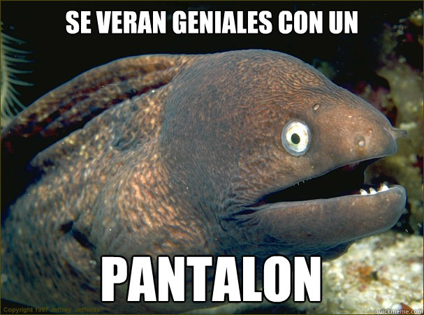 se veran geniales con un pantalon - Bad Joke Eel