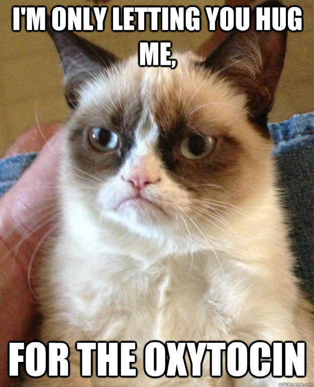 im only letting you hug me for the oxytocin - Grumpy Cat