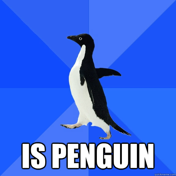 is penguin - Socially Awkward Penguin