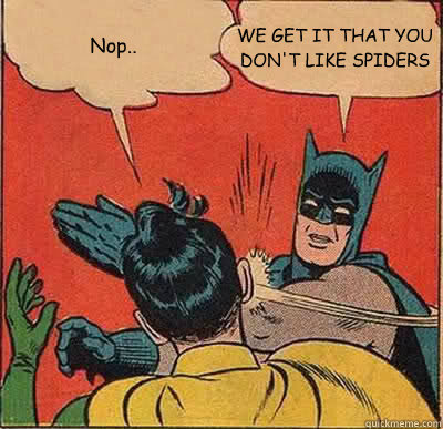 nop we get it that you dont like spiders - Batman Slapping Robin