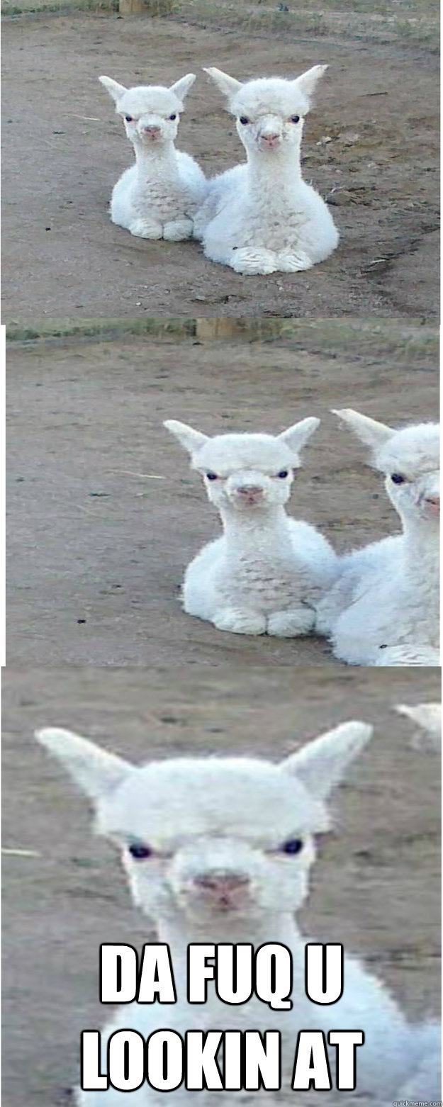 da fuq u lookin at -