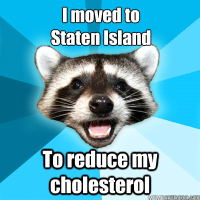 i moved to staten island to reduce my cholesterol - Lame Pun Coon