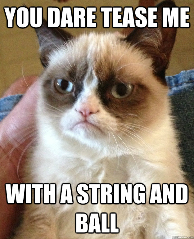you dare tease me with a string and ball - grumpy cat