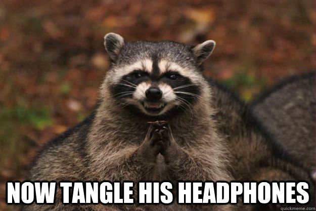 now tangle his headphones - Evil Plotting Raccoon