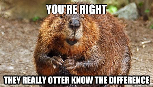youre right they really otter know the difference -