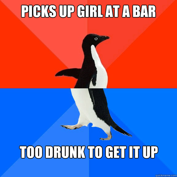 picks up girl at a bar too drunk to get it up - Socially awesome awkward penguin