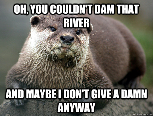 oh you couldnt dam that river and maybe i dont give a dam -