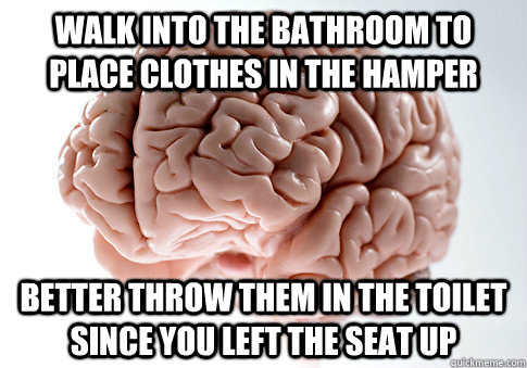 walk into the bathroom to place clothes in the hamper better - Scumbag Brain