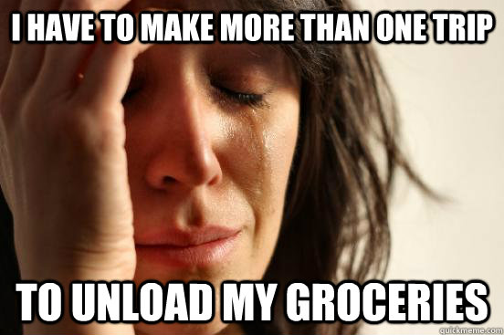 i have to make more than one trip to unload my groceries - First World Problems