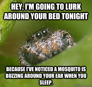 hey im going to lurk around your bed tonight because ive - Misunderstood Spider