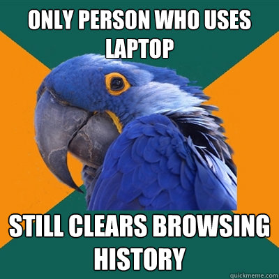 only person who uses laptop still clears browsing history - Paranoid Parrot